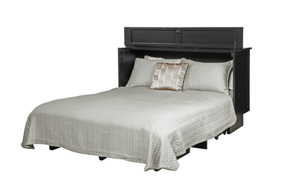 Creden-ZzZ Essex Queen Black Murphy Cabinet Bed